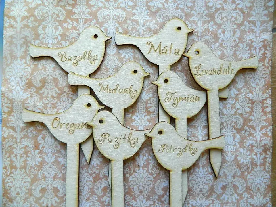 Bylinkové cedulky: Inspirace z praxe i originální DIY nápady