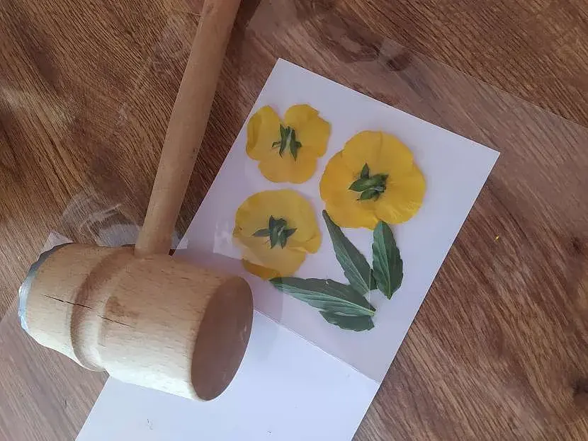 Květiny na papíře 