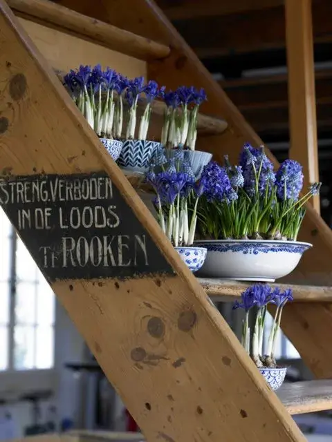 Modré kosatce a hyacinty