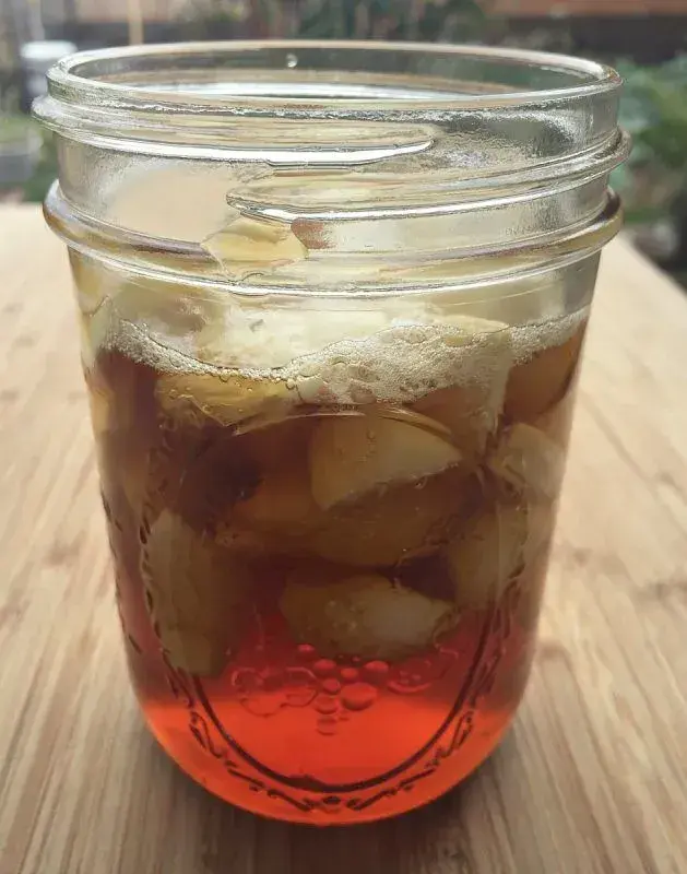 Mravenci na zahradě