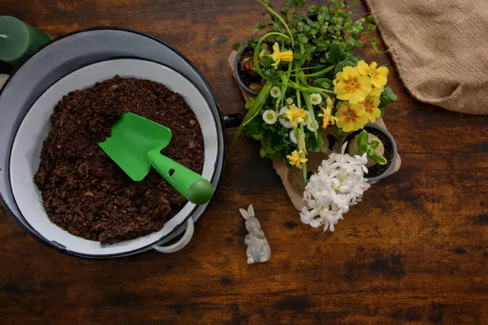  Jarní minizahrádka: inspirace, která promění obyčejnou nádobu v malý kvetoucí svět