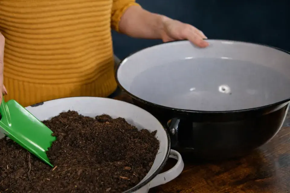  Jarní minizahrádka: inspirace, která promění obyčejnou nádobu v malý kvetoucí svět