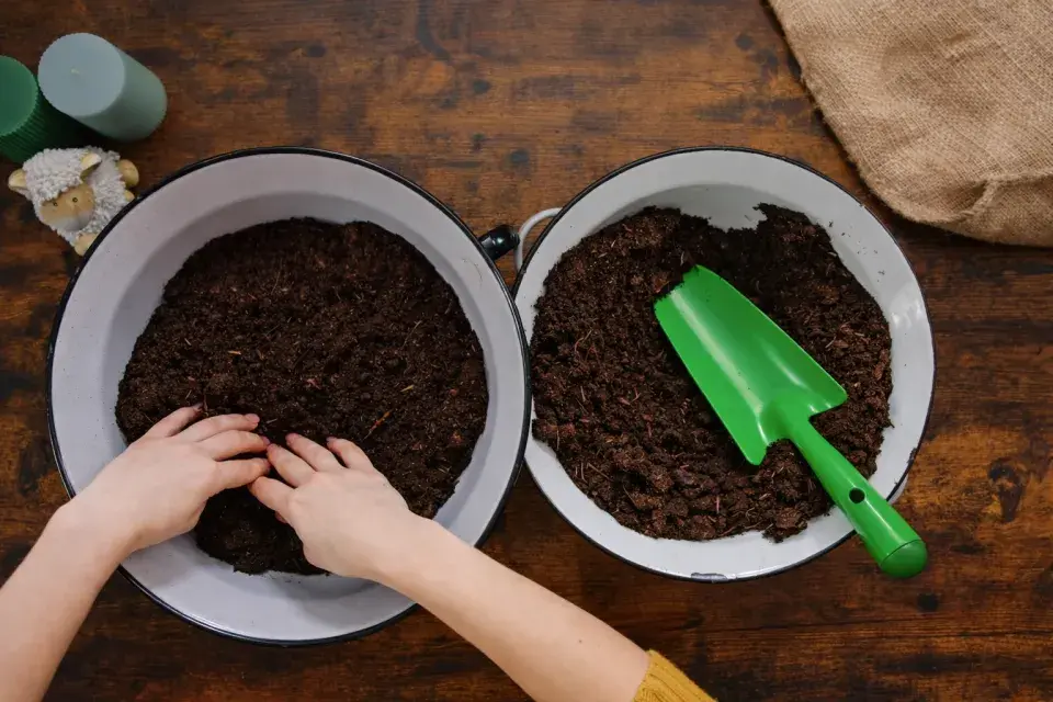  Jarní minizahrádka: inspirace, která promění obyčejnou nádobu v malý kvetoucí svět