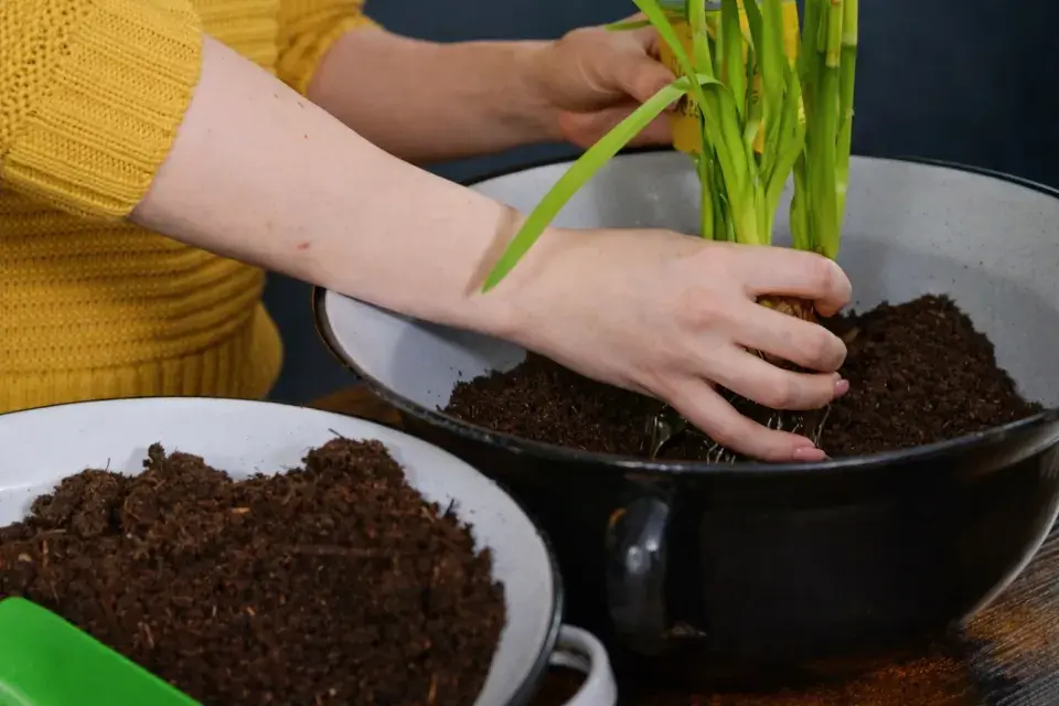  Jarní minizahrádka: inspirace, která promění obyčejnou nádobu v malý kvetoucí svět