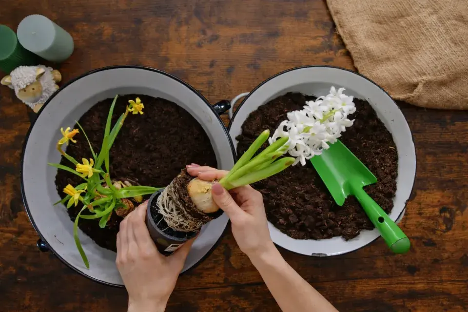  Jarní minizahrádka: inspirace, která promění obyčejnou nádobu v malý kvetoucí svět