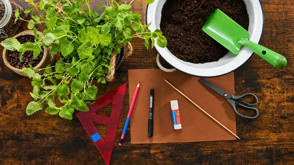 Bylinkové cedulky: Inspirace z praxe i originální DIY nápady