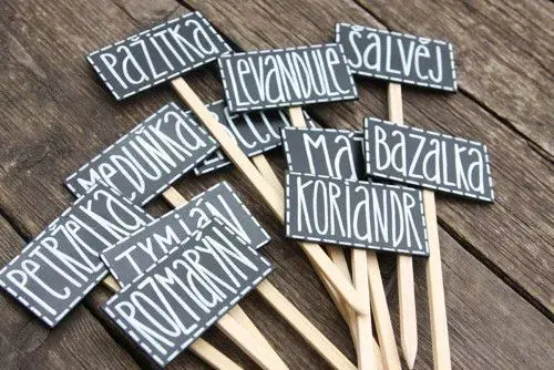 Bylinkové cedulky: Inspirace z praxe i originální DIY nápady