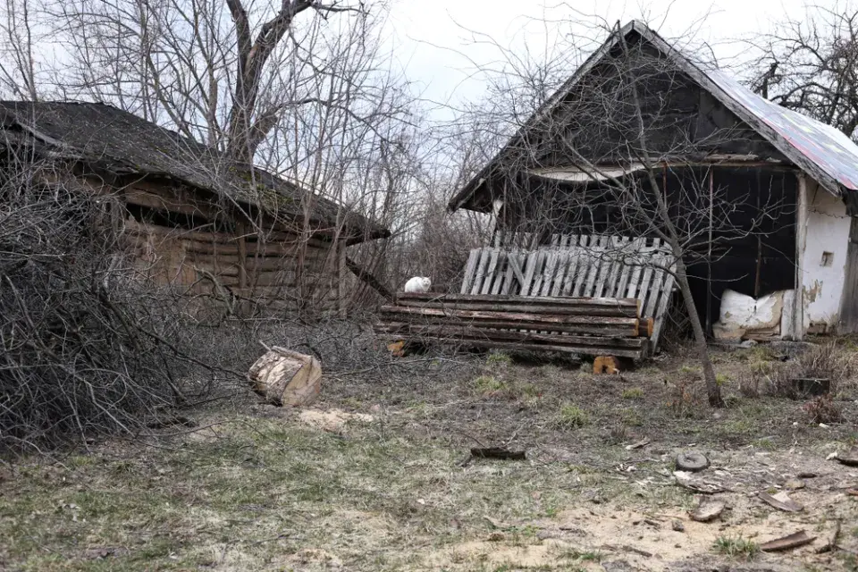 Zahrada plná zvířat: inspirace na chov zvířat i varování z praxe