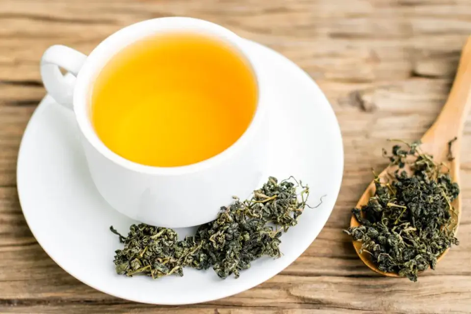 Jiaogulan neboli ženšen pětilistý