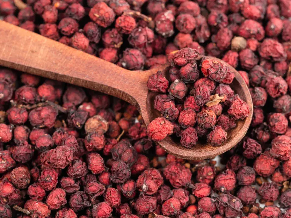 Sušené plody schisandry