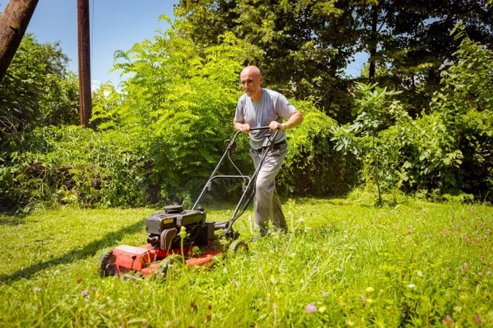 Trávník pravidelně sečte