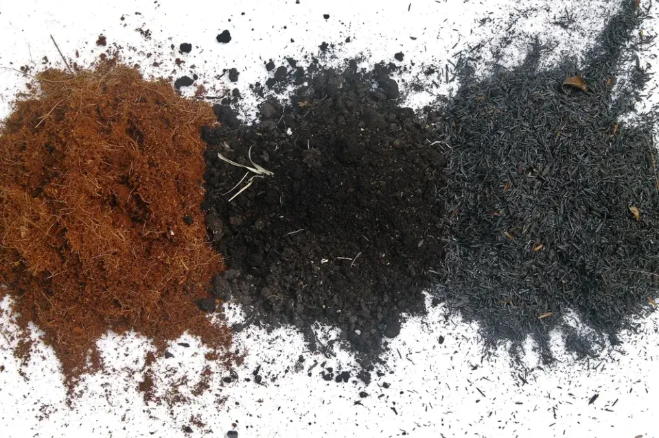 Nápady na kokedamy: Mechové koule, které nahradí květináče