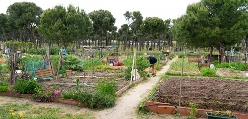 Zahrádkářská kolonie: Každodenní realita mezi záhony a ploty