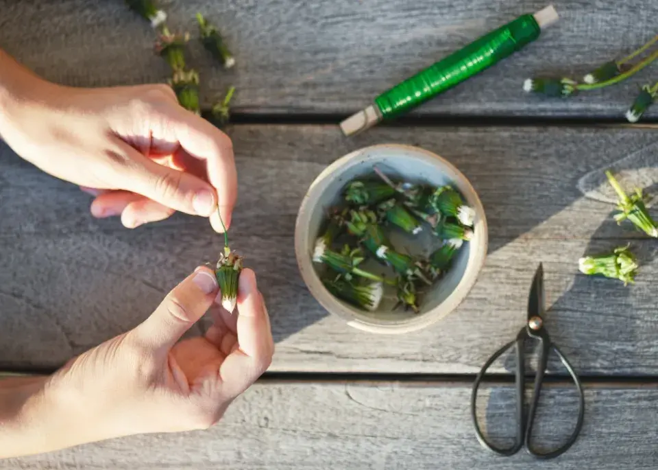 Jarní dekorace z pampelišky