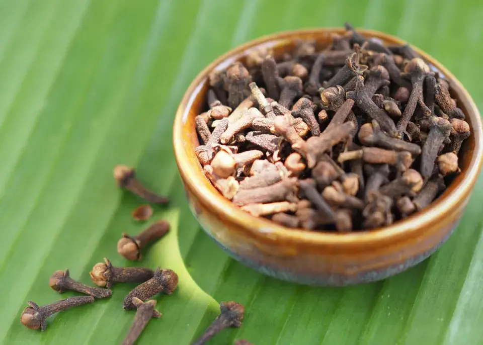 Hřebíčkový repelent