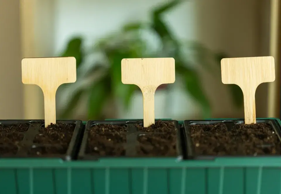 Bylinkové cedulky: Inspirace z praxe i originální DIY nápady