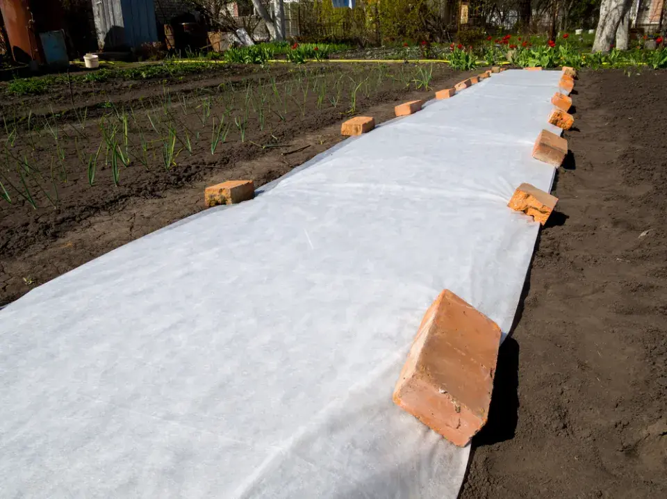 Ochrana před mrazem 