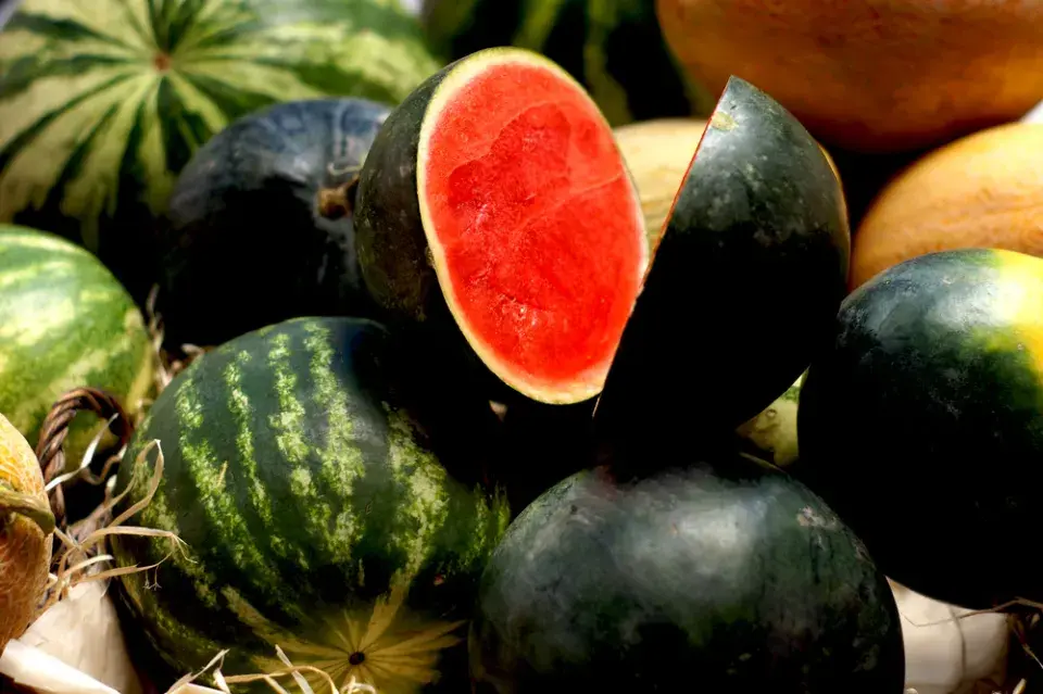 Roubovaný vodní meloun