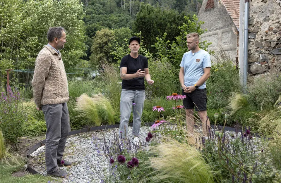 Mlatové plochy v zahradě: Přirozená krása v detailu