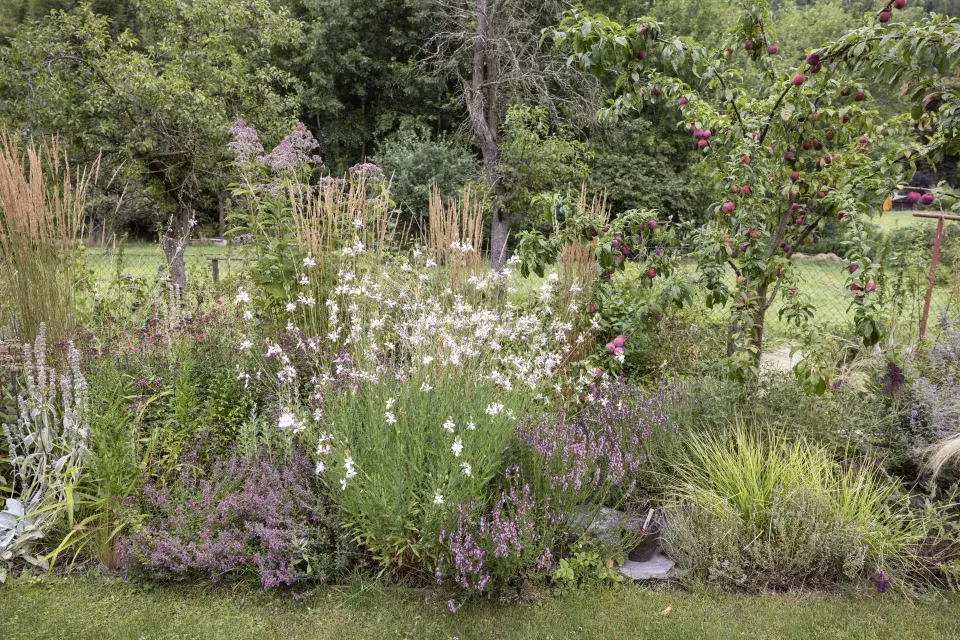 Mlatové plochy v zahradě: Přirozená krása v detailu