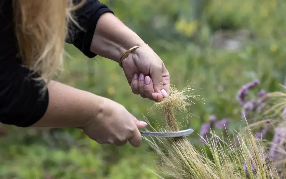 Mlatové plochy v zahradě: Přirozená krása v detailu