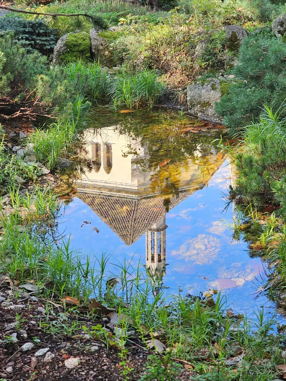 Výstava skalniček