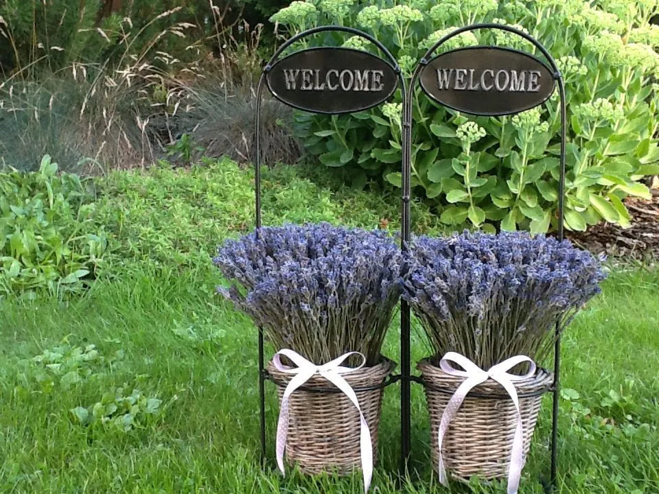 Dekorace z levandule pro romantickou terasu jako z Provence