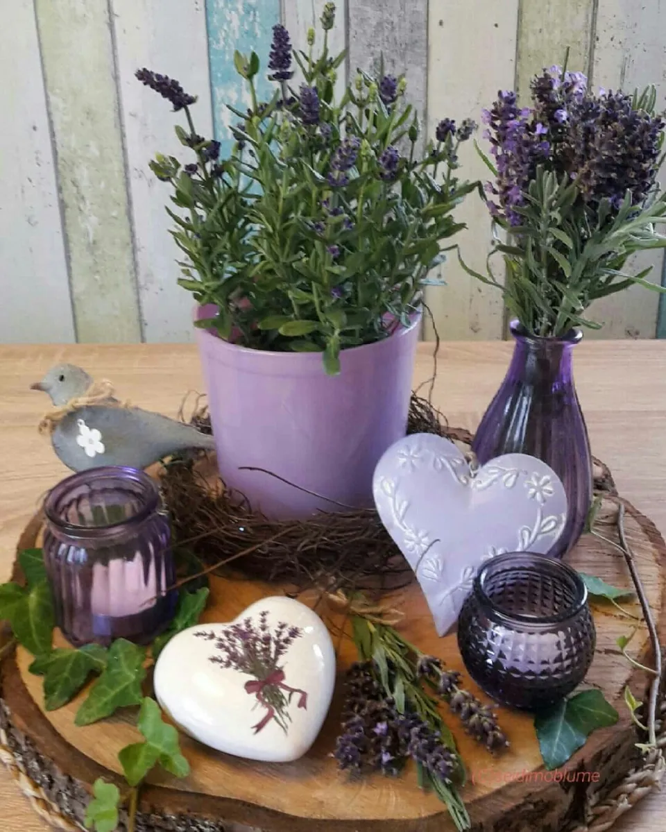 Dekorace z levandule pro romantickou terasu jako z Provence