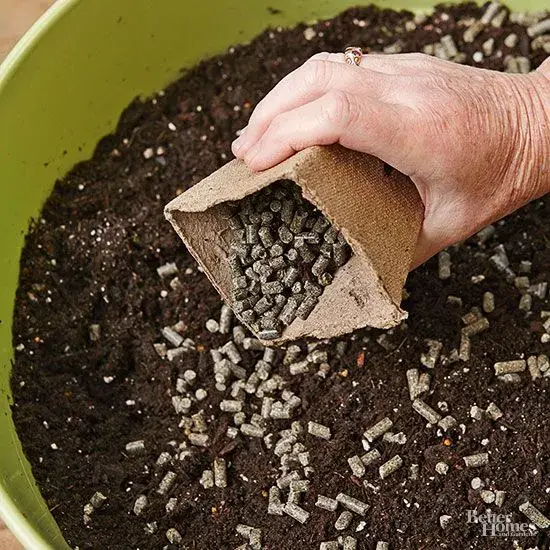 Granule