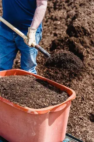 Hnojivo ze sloního trusu 