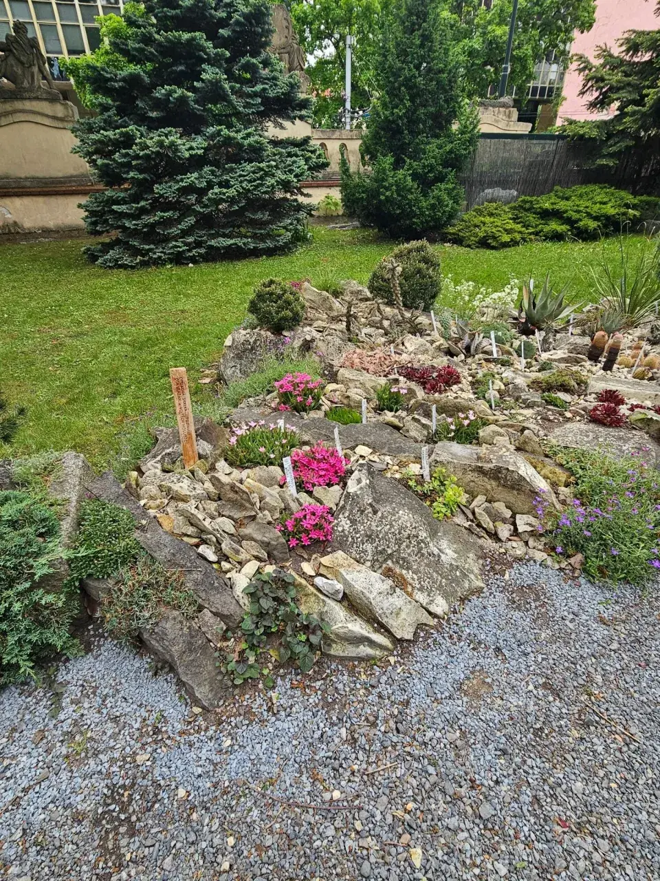 Výstava skalniček