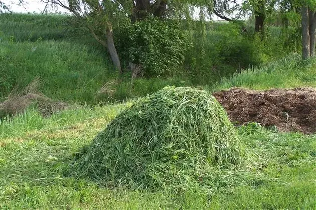 Posekaná tráva