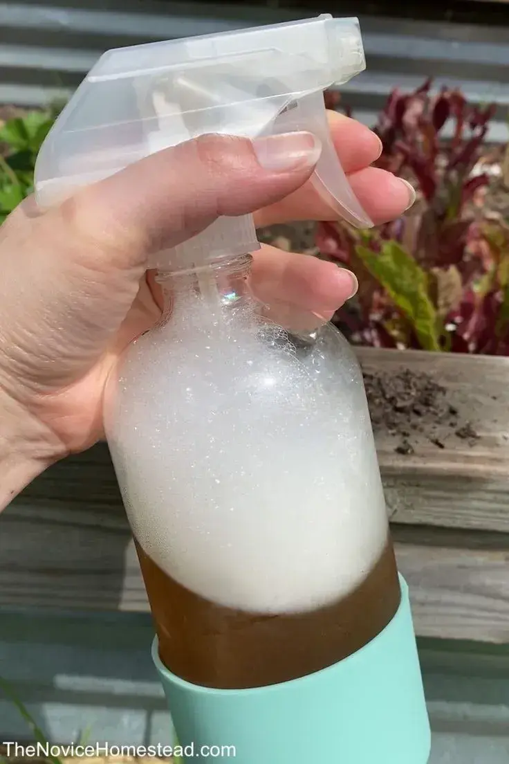 Šneci na zahradě