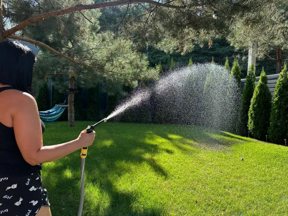 Nejčastějších důvody, proč živý plot z tújí hnědne