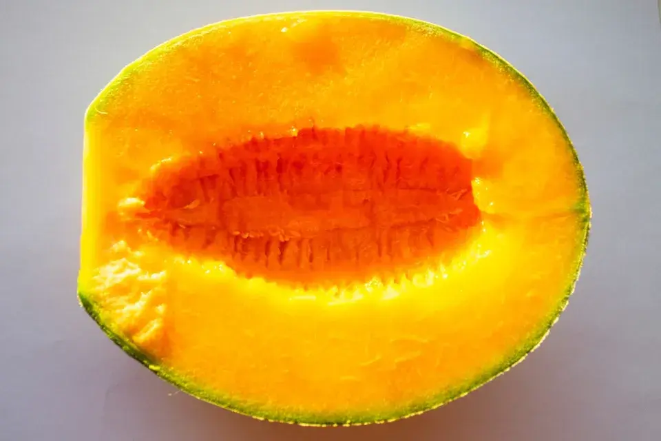 Mangomeloun