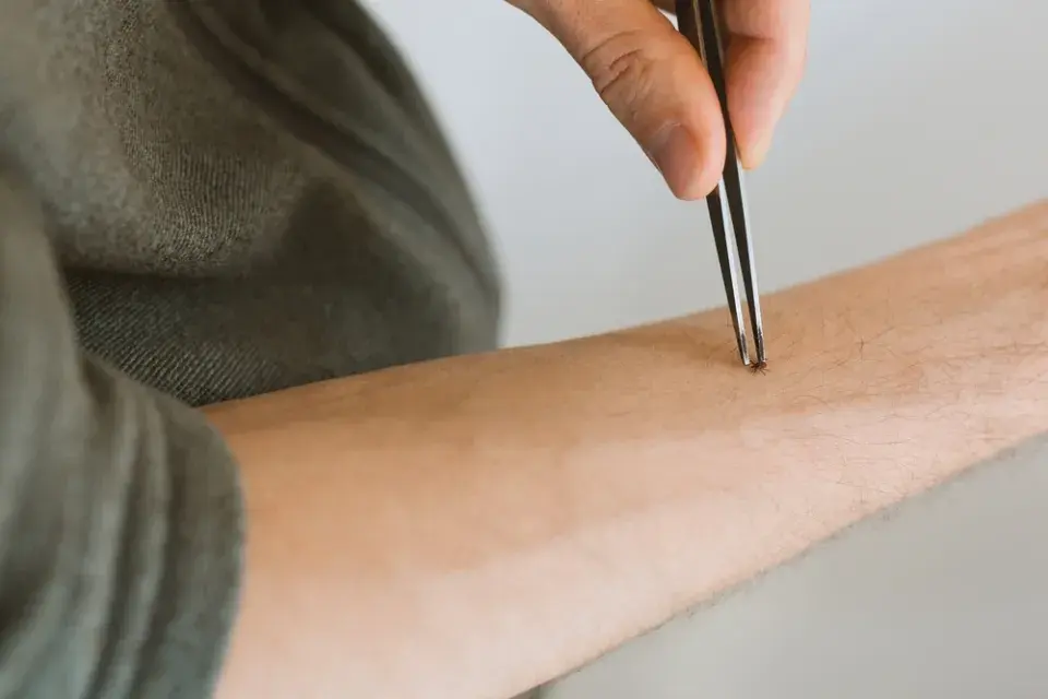 Ochrana před klíšťaty začíná uklizenou zahradou