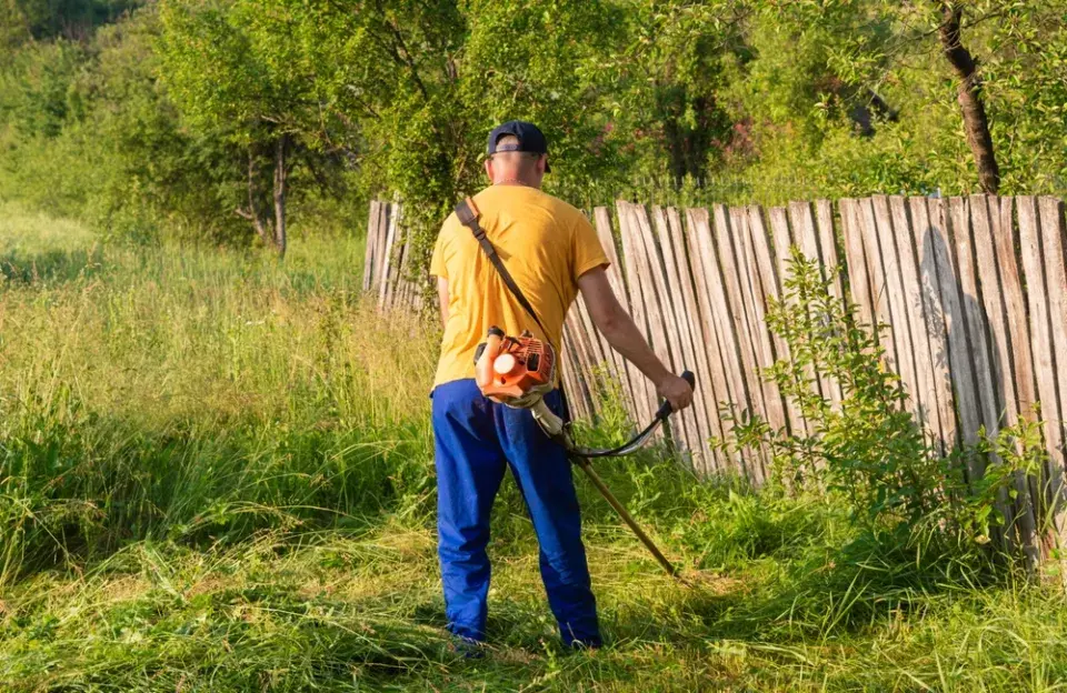 Přerostlá tráva je větším problémem, než si vůbec myslíte