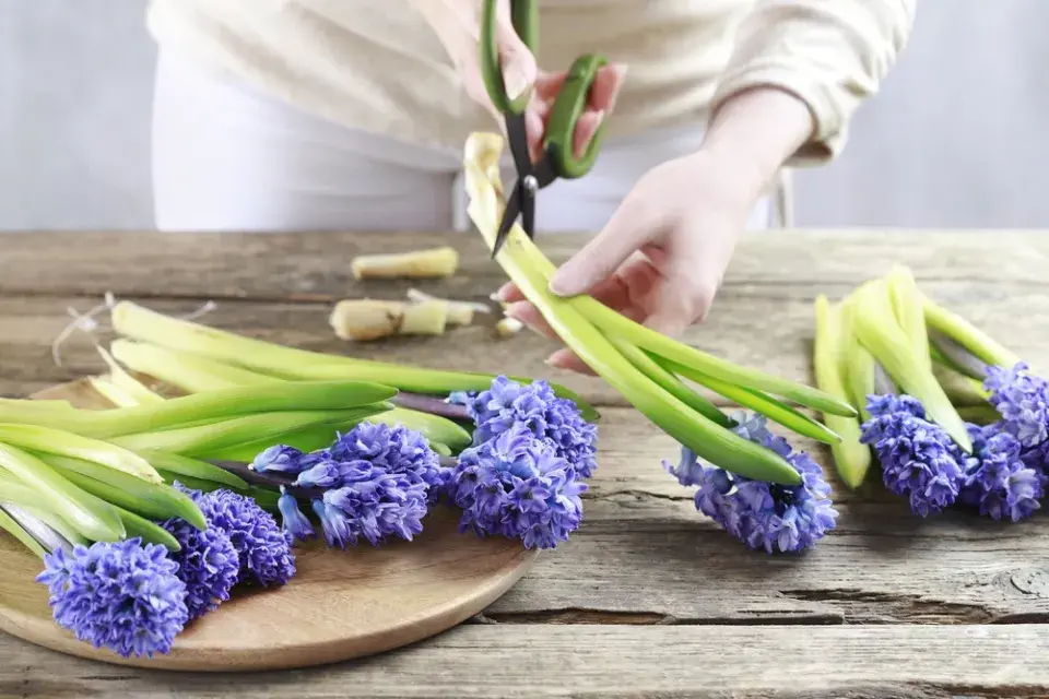 Romantické srdíčkové svícny ze sklenic jako jednoduchá dekorace s hyacinty