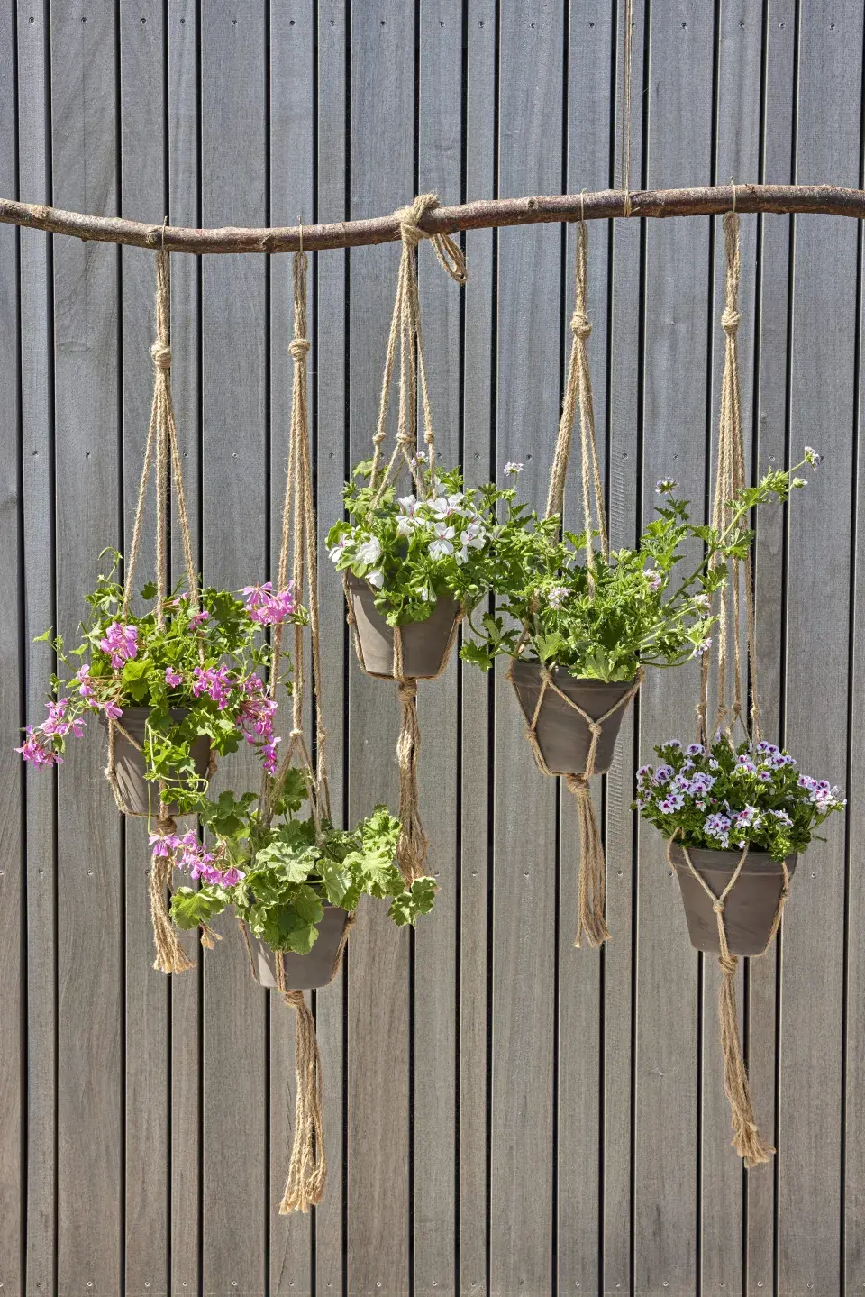 Nejkrásnější nápady na zavěšení muškátů v boho stylu, větve i recyklované dekorace