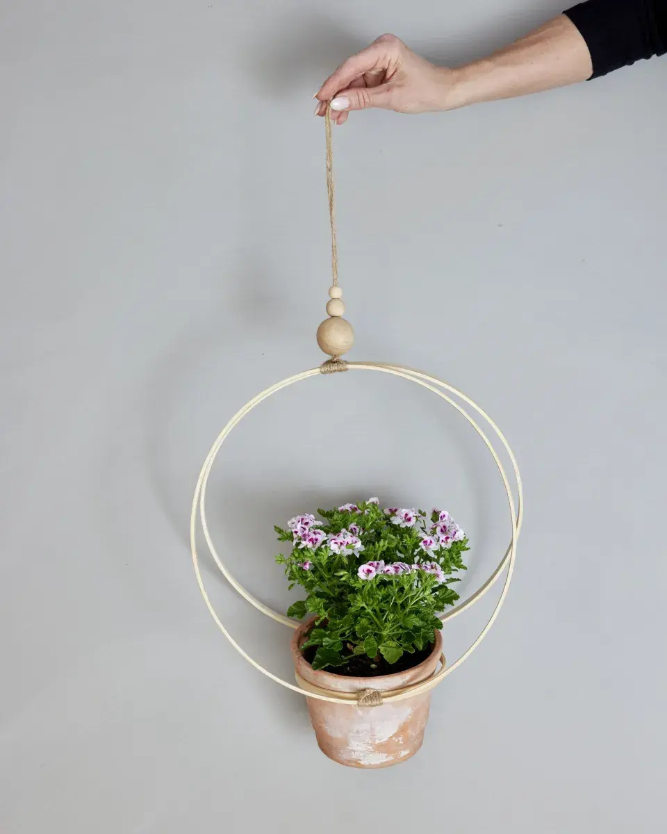 Nejkrásnější nápady na zavěšení muškátů v boho stylu, větve i recyklované dekorace