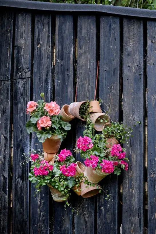 Nejkrásnější pelargonie do truhlíků i záhonů, které kvetou celé léto a slimáky příliš nelákají