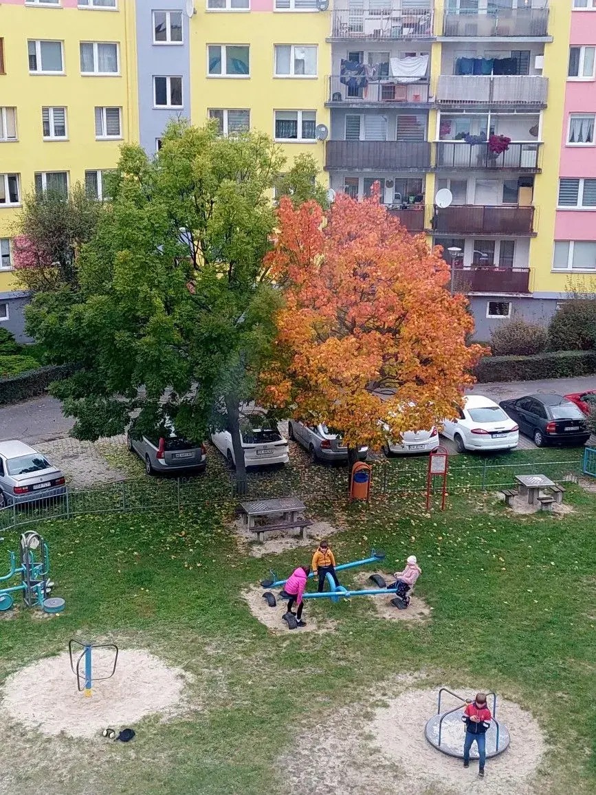 Dvorek