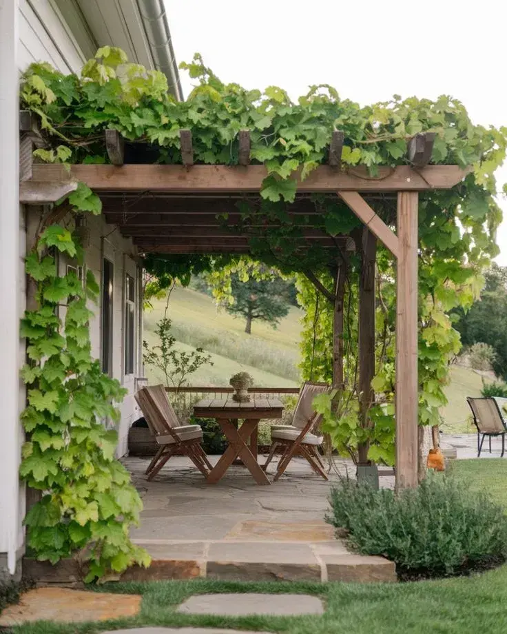Pergola na zahradě