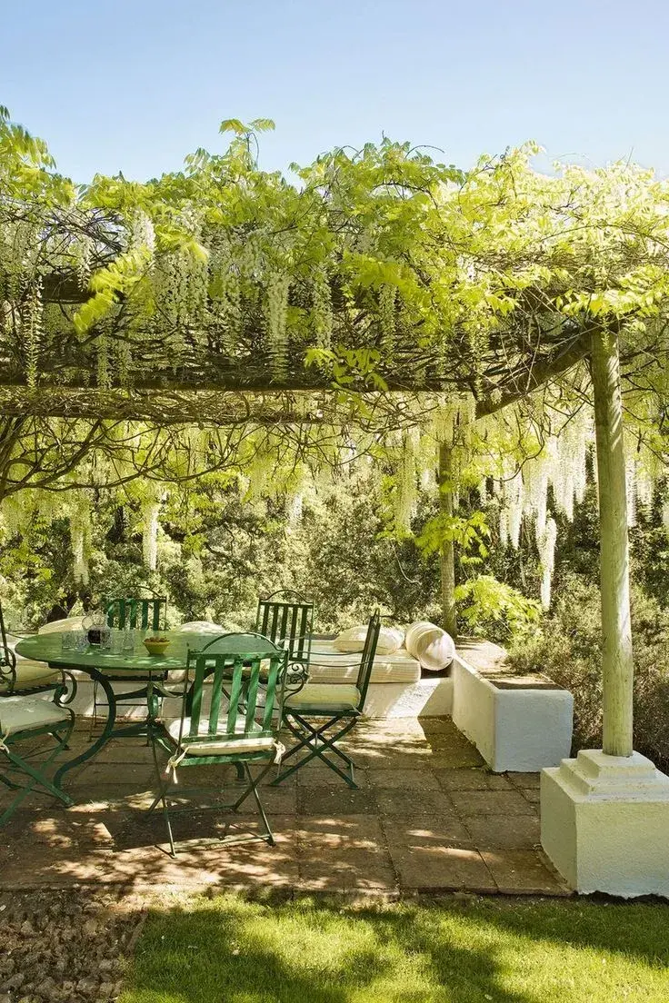 Pergola na zahradě