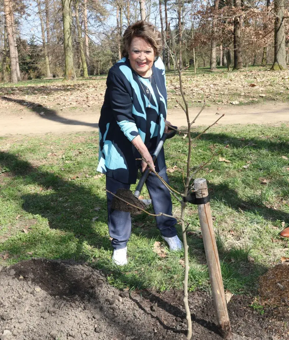 Jiřina Bohdalová