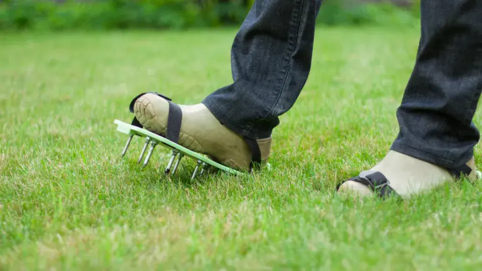 Chcete letos opravdu hustý trávník? O výsledku rozhoduje především správné pořadí jarních prací