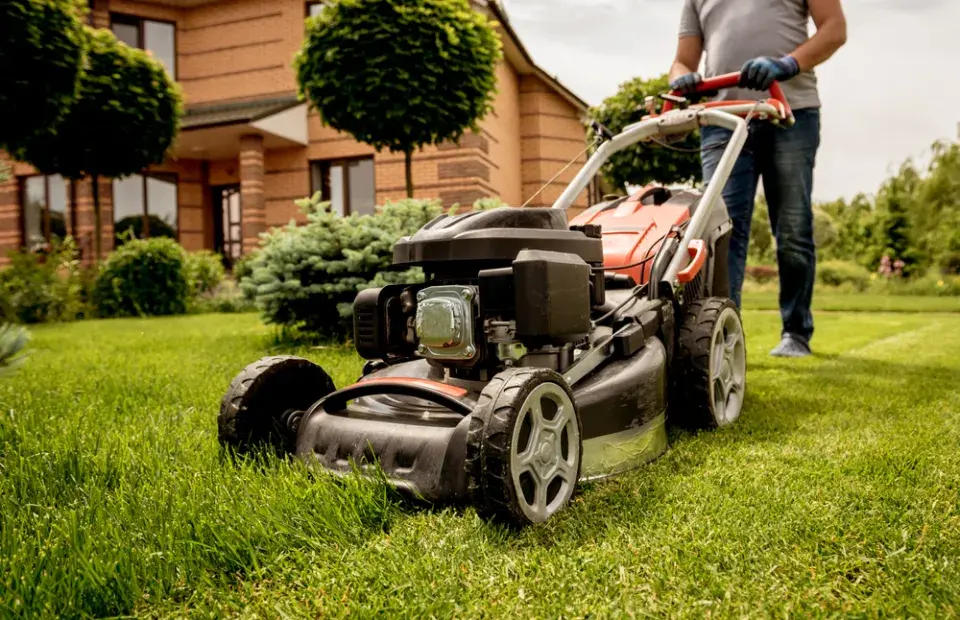 Chcete letos opravdu hustý trávník? O výsledku rozhoduje především správné pořadí jarních prací
