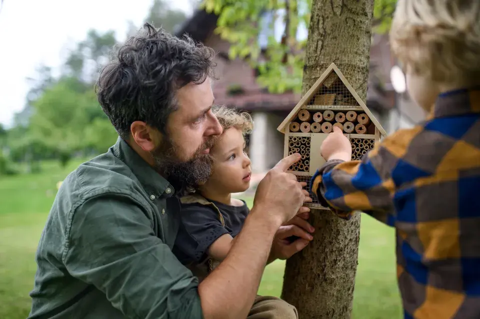 Hmyzí domeček