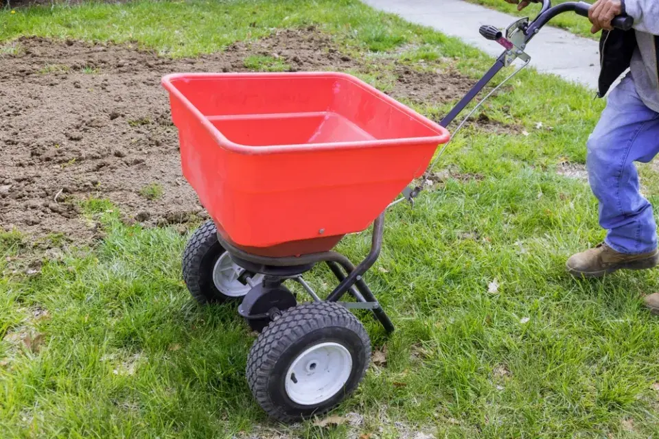 Chcete letos opravdu hustý trávník? O výsledku rozhoduje především správné pořadí jarních prací
