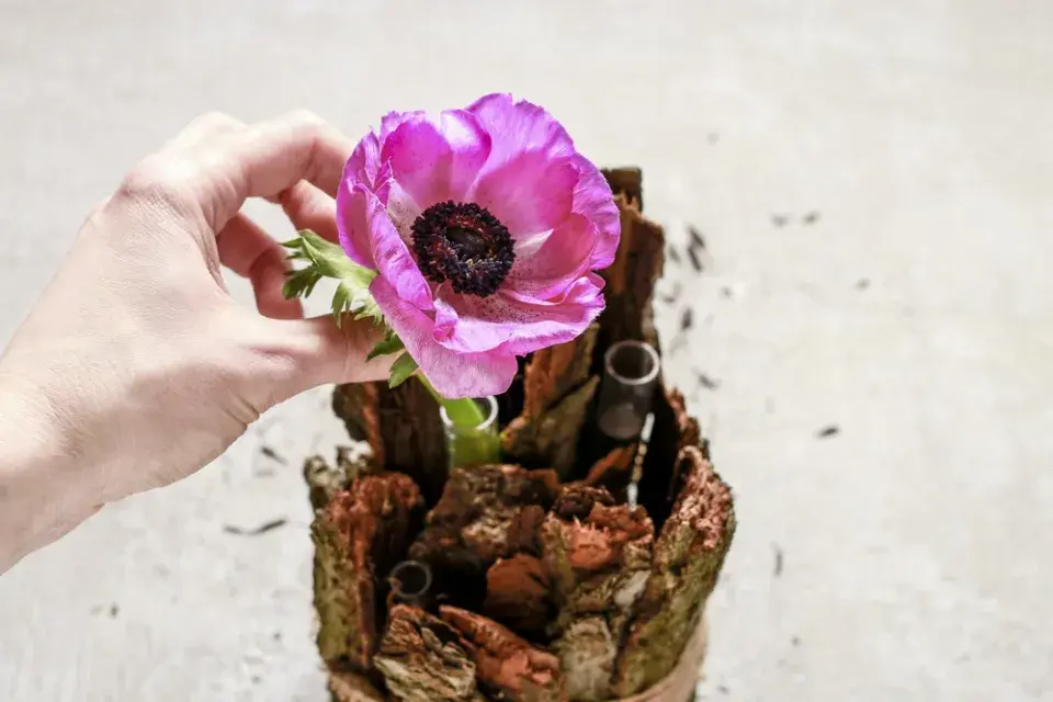 Dekorace za stovku, která vypadá jako práce profesionálního floristy